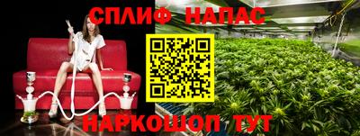 ECSTASY Малоярославец